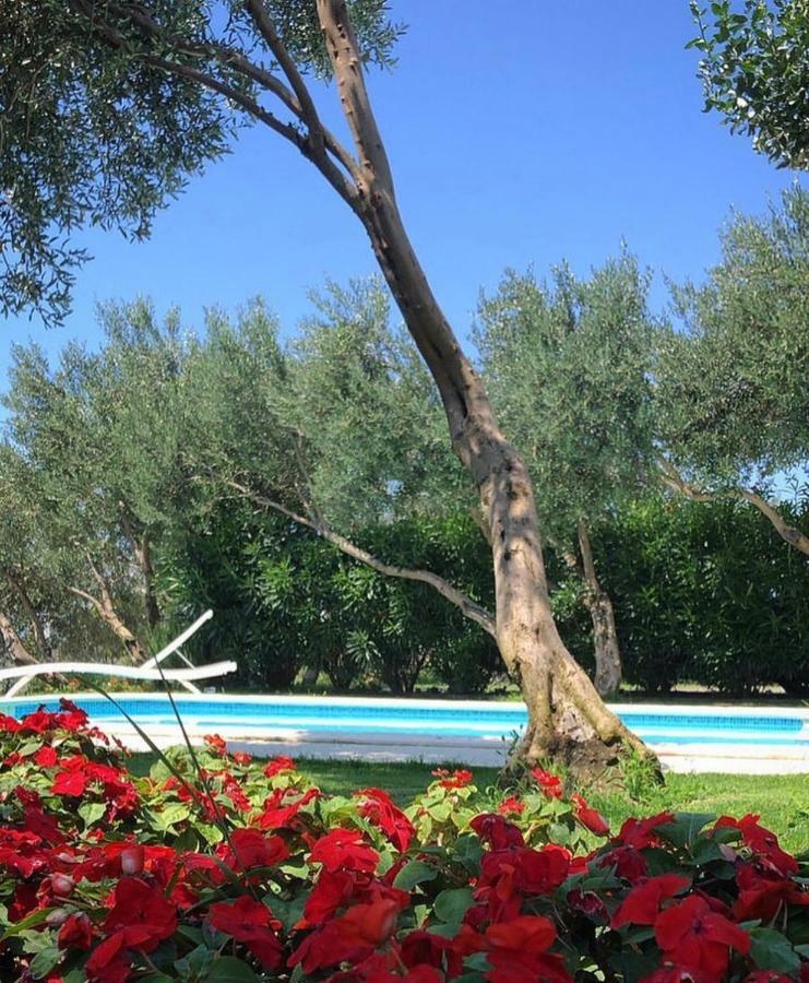 Villa Tamaris Makarska Extérieur photo